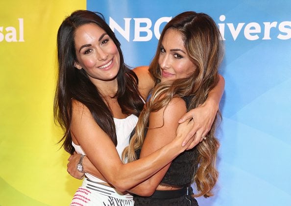 Bella Twins Net Worth 2024