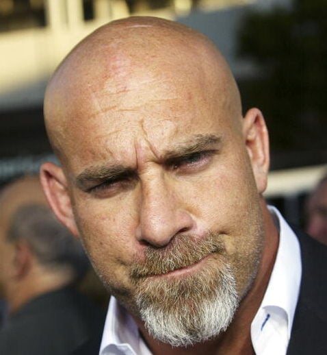 Bill Goldberg Net Worth 2024