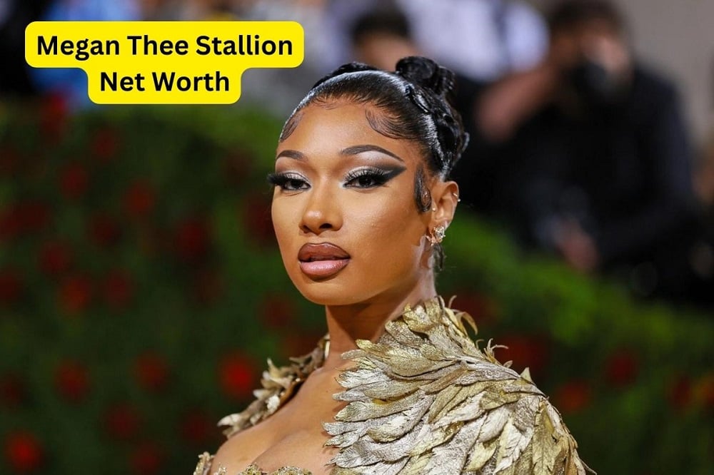 Megan Thee Stallion Net Worth 2024: Income & Investments