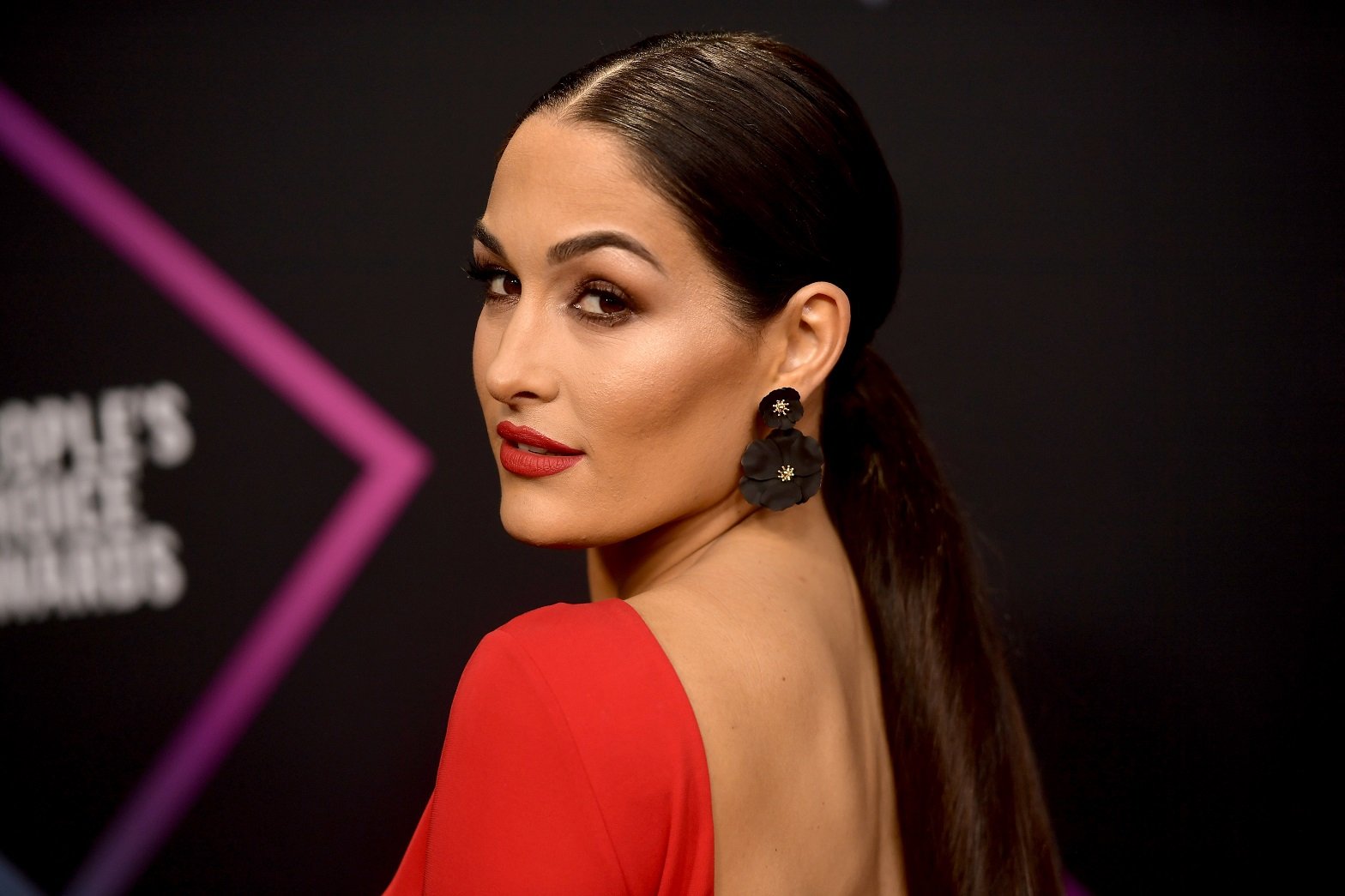 Nikki Bella Net Worth 2024