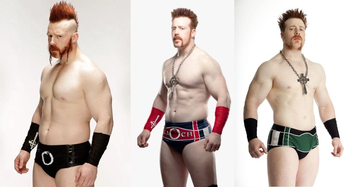 Sheamus Net Worth 2024: Fight Income, Age, Salary, & Wife